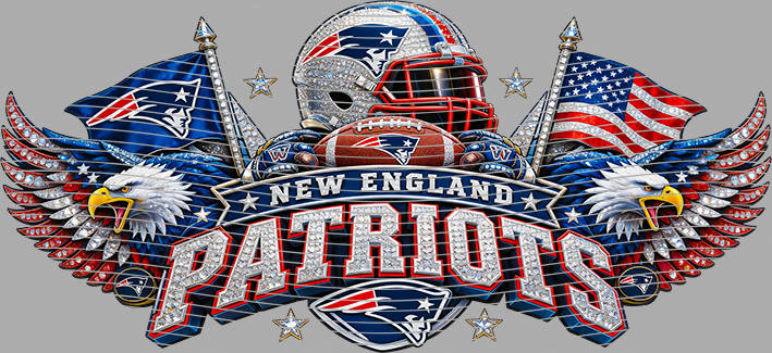 16oz team-NFL 3711